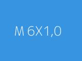 M 6X1,0 